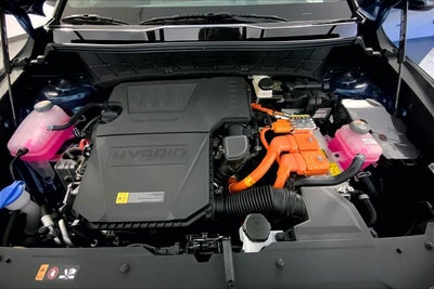 2026 Kia Niro SX Touring