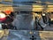 2024 Kia Carnival SX